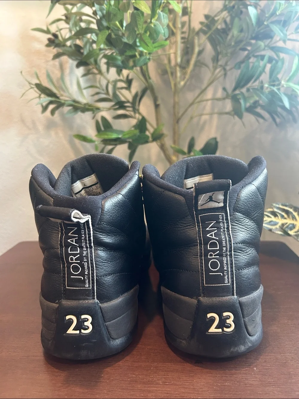 Air Jordan 12 Retro 